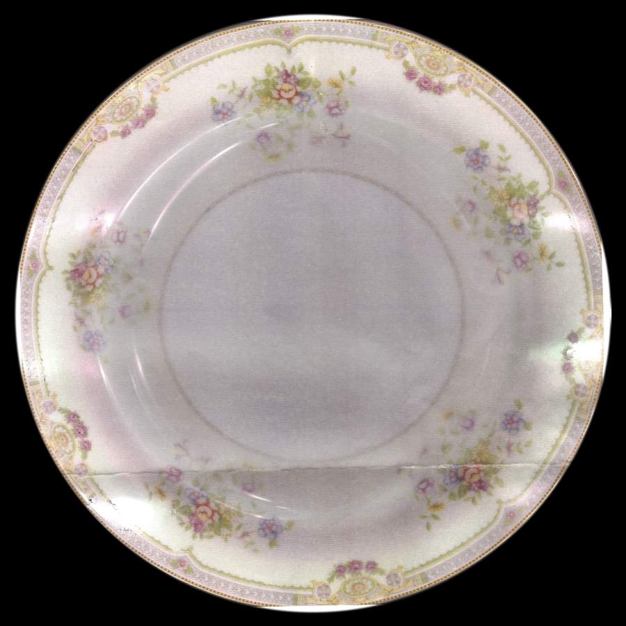 N2260 Dinner Plate by Noritake-1