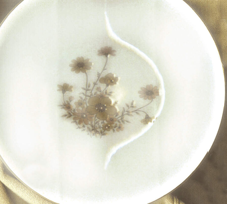 Painted Desert 9" Round Vegetable Bowl by Nitto-1