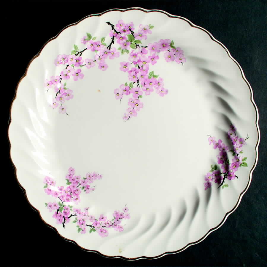 Nac9 Dinner Plate by Nasco China (USA)-1