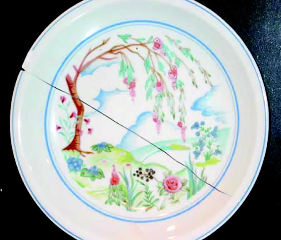 Npc4 Dinner Plate by CNP France-1