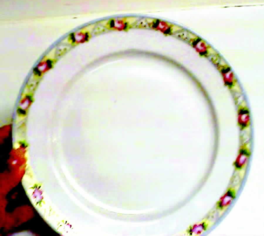 MEI1372 Dinner Plate by Meito-1