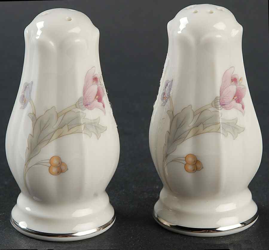 Avery Platinum Salt & Pepper Set by Noritake-1