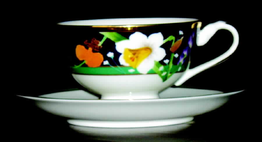 Seasons Touch Footed Cup & Saucer Set by Noritake-1