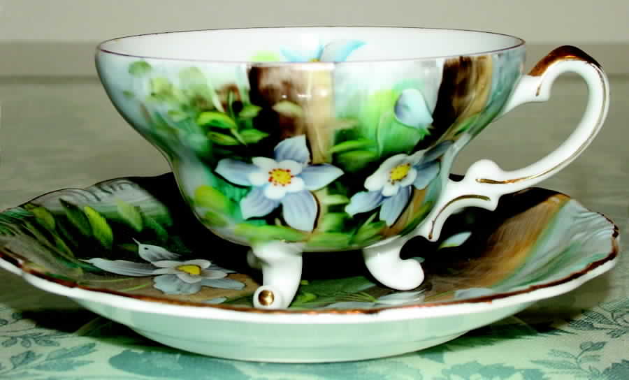 8-341 Footed Cup & Saucer Set by Norcrest-1
