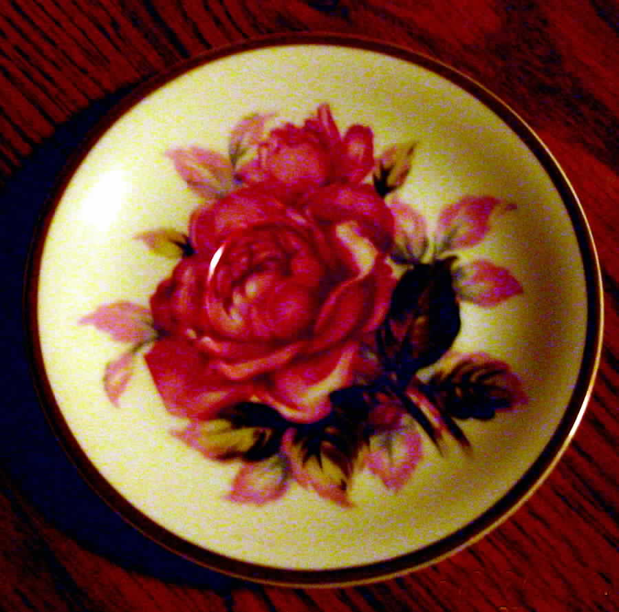 NOT8 Saucer by Norcrest-1