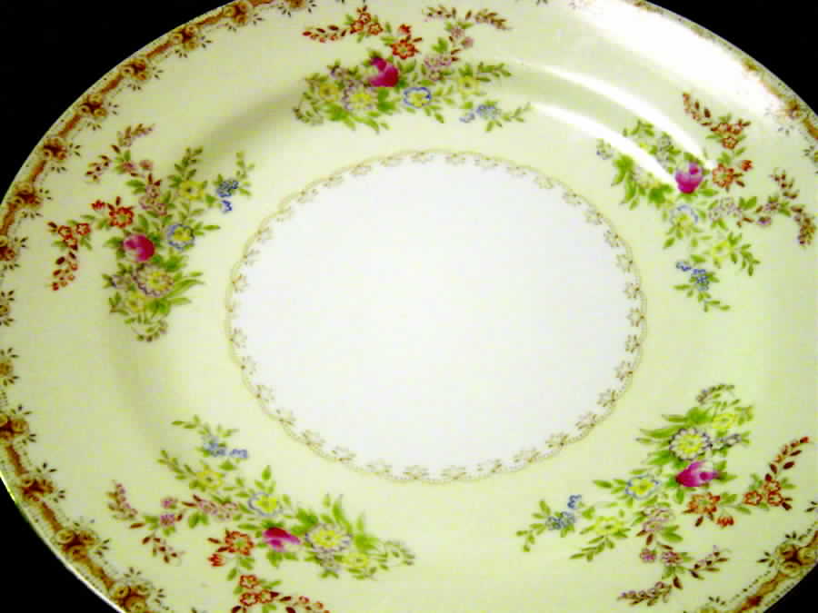 NAT51 Dinner Plate by National China-1