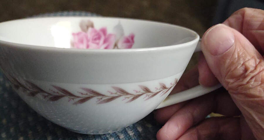 N2395 Flat Cup by Noritake-1