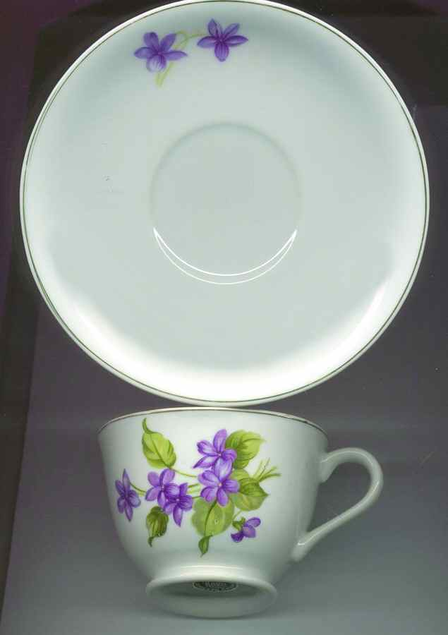 NAS14 Footed Cup & Saucer Set by Nasco (Japan)-1