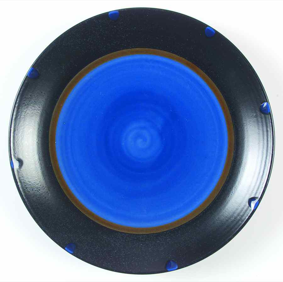 Surf Dinner Plate by Noble Excellence-1