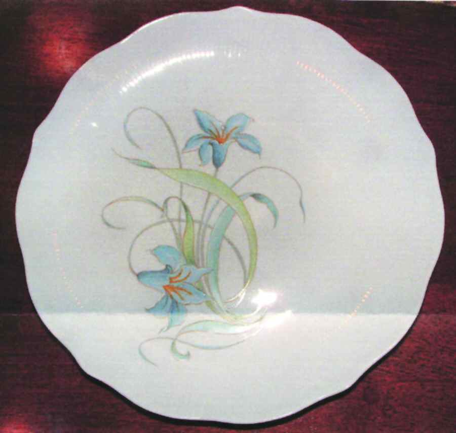 NAA7 Dinner Plate by Naaman Israel-1
