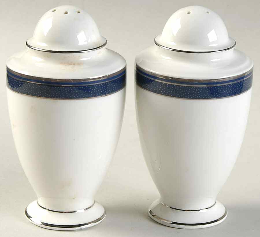Stardust Platinum Salt & Pepper Set by Noritake-1