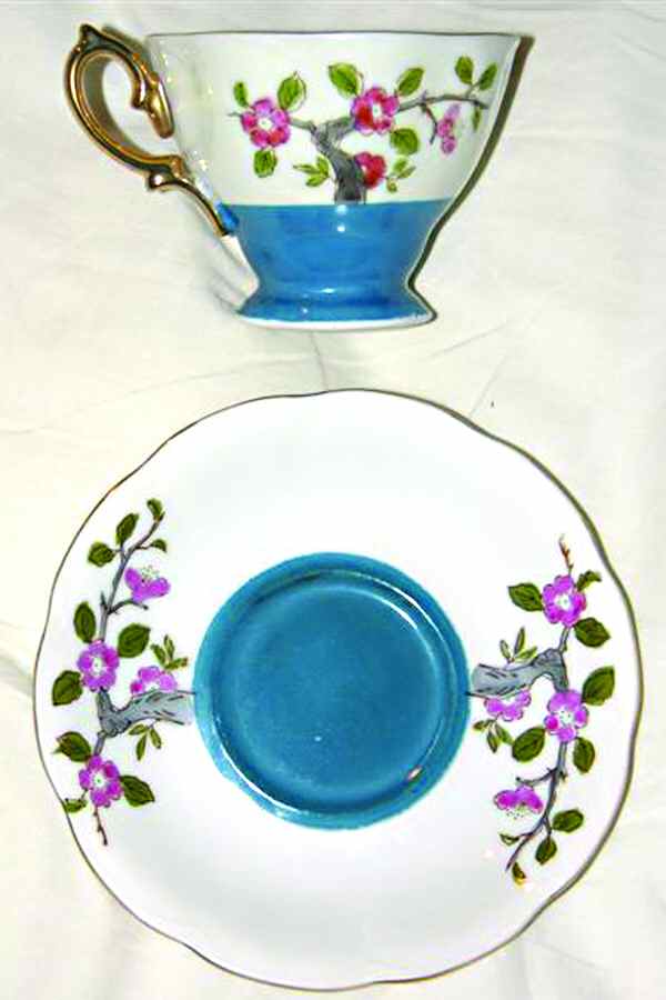 NAS15 Footed Cup & Saucer Set by Nasco (Japan)-1