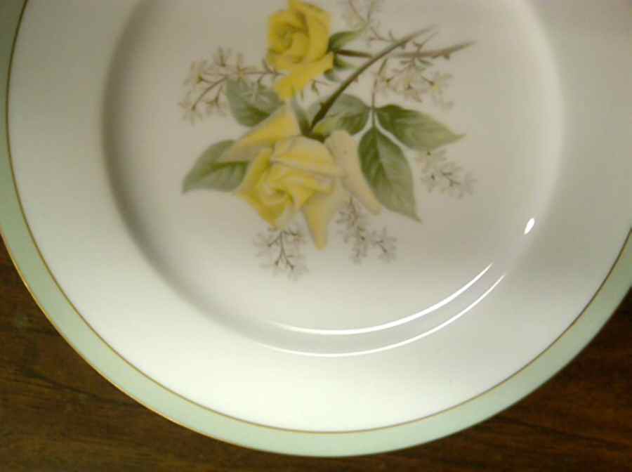 N2526 Dinner Plate by Noritake-1