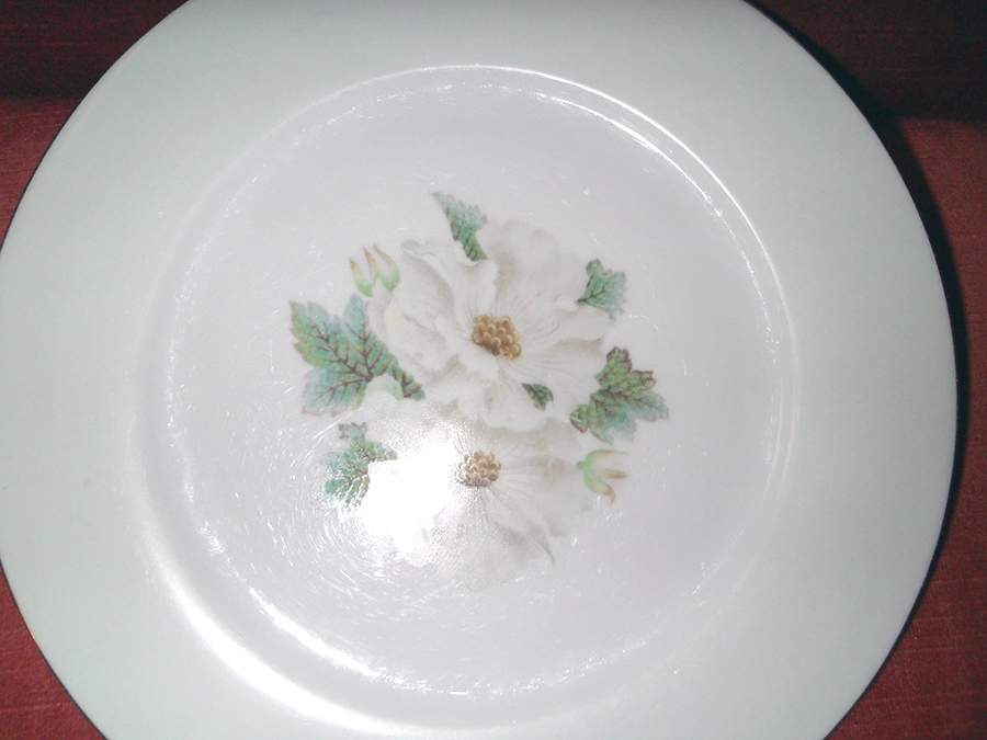 N2759 Dinner Plate by Noritake-1