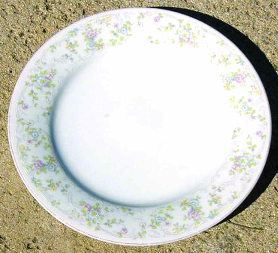 Bridal Shower Dinner Plate by Noritake-1