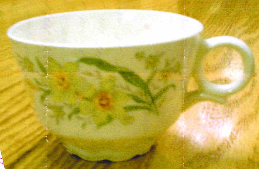 Narcissus Flat Cup by Nasco China (USA)-1