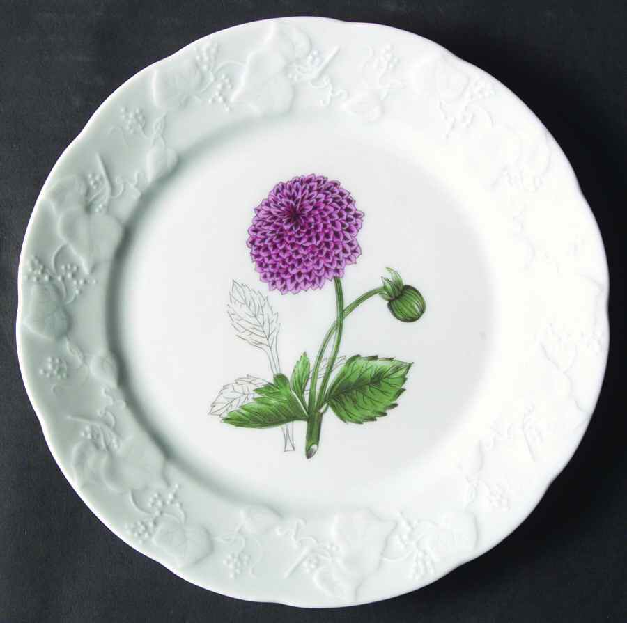NPC5 Salad Plate by CNP France-1