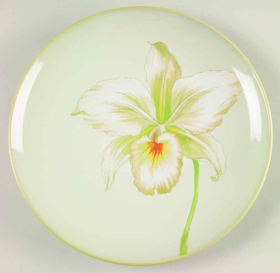 Colorwave Apple Green (Light) Accent Salad Plate by Noritake-1