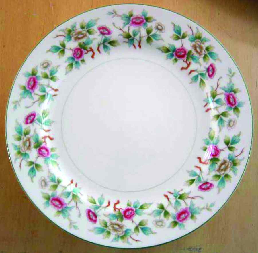 N2823 Dinner Plate by Noritake-1