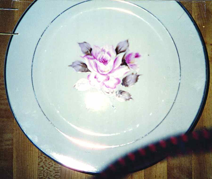 NAG40 Dinner Plate by Nagoya Shokai-1