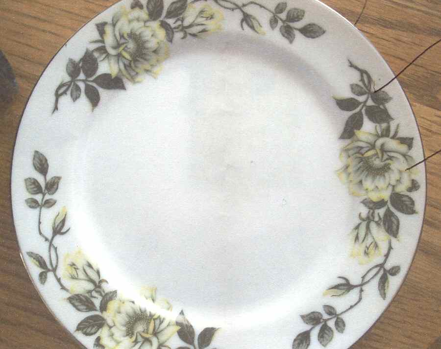NAR91 Dinner Plate by Narumi-1