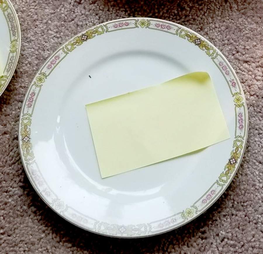 N2877 Dinner Plate by Noritake-1