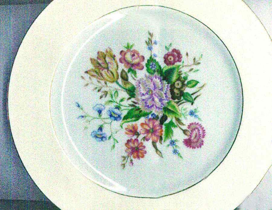 NAR94 Dinner Plate by Narumi-1