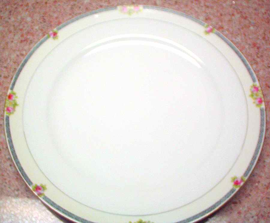 N2903 Dinner Plate by Noritake-1