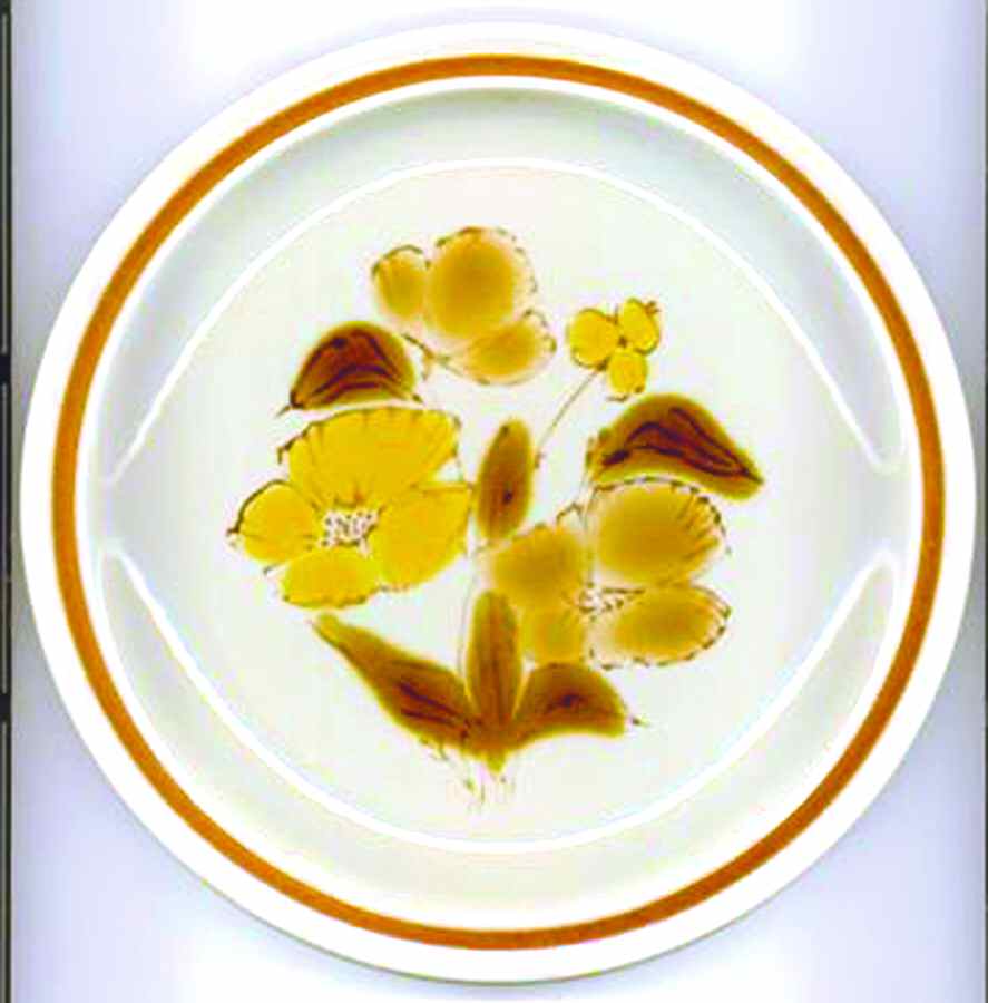 Perfection Dinner Plate by Newcor-1