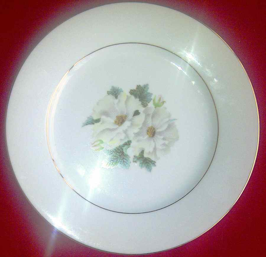 N2546 Dinner Plate by Noritake-1