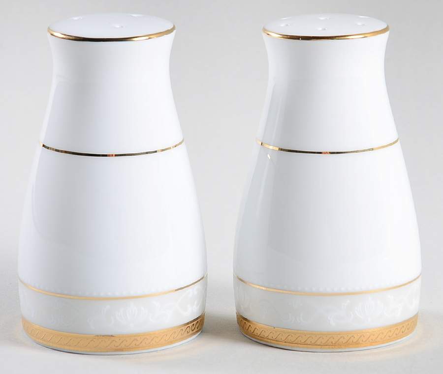 Hampshire Gold Salt & Pepper Set by Noritake-1