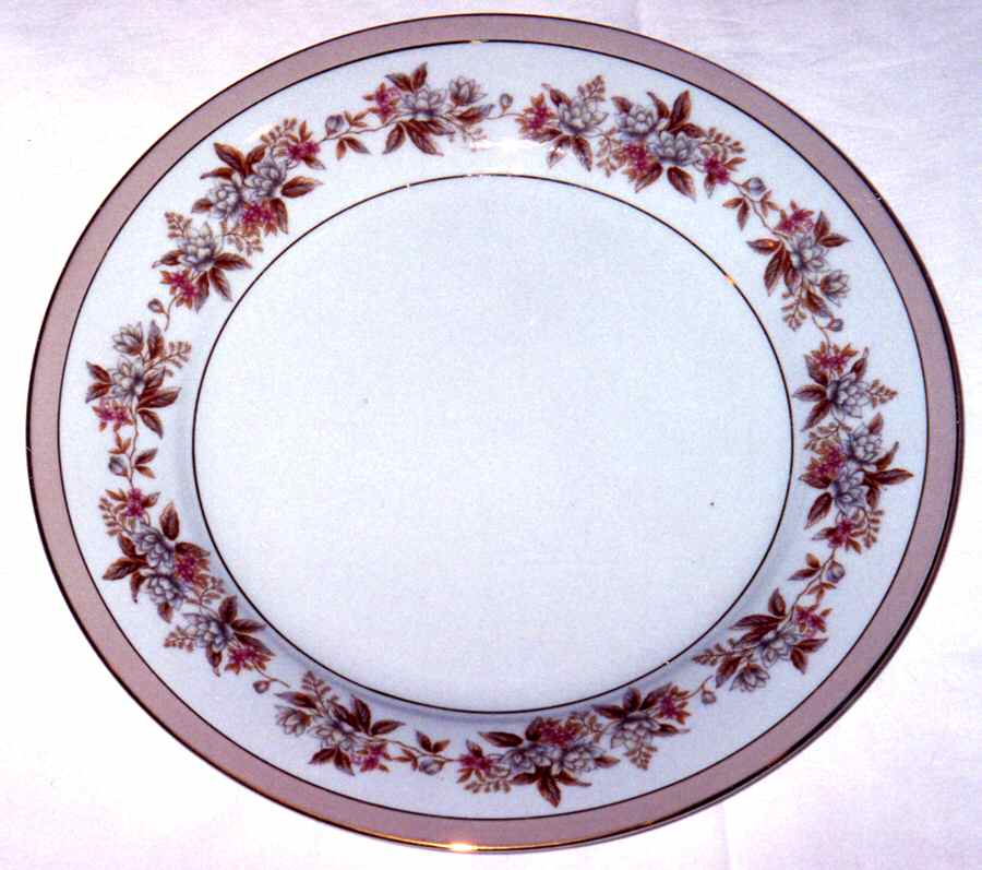 N3041 Dinner Plate by Noritake-1