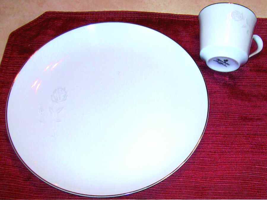 NAG45 Dinner Plate by Nagoya Shokai-1