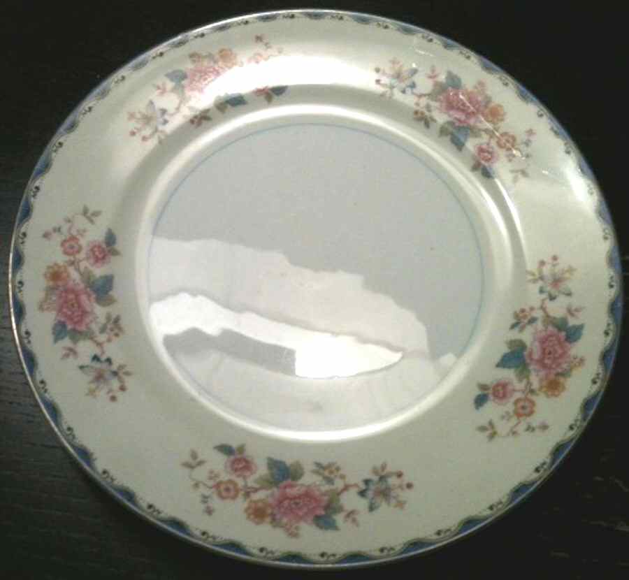 N3157 Dinner Plate by Noritake-1