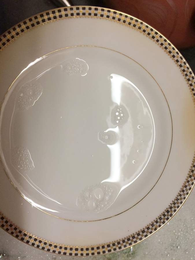 N2616 Dinner Plate by Noritake-1