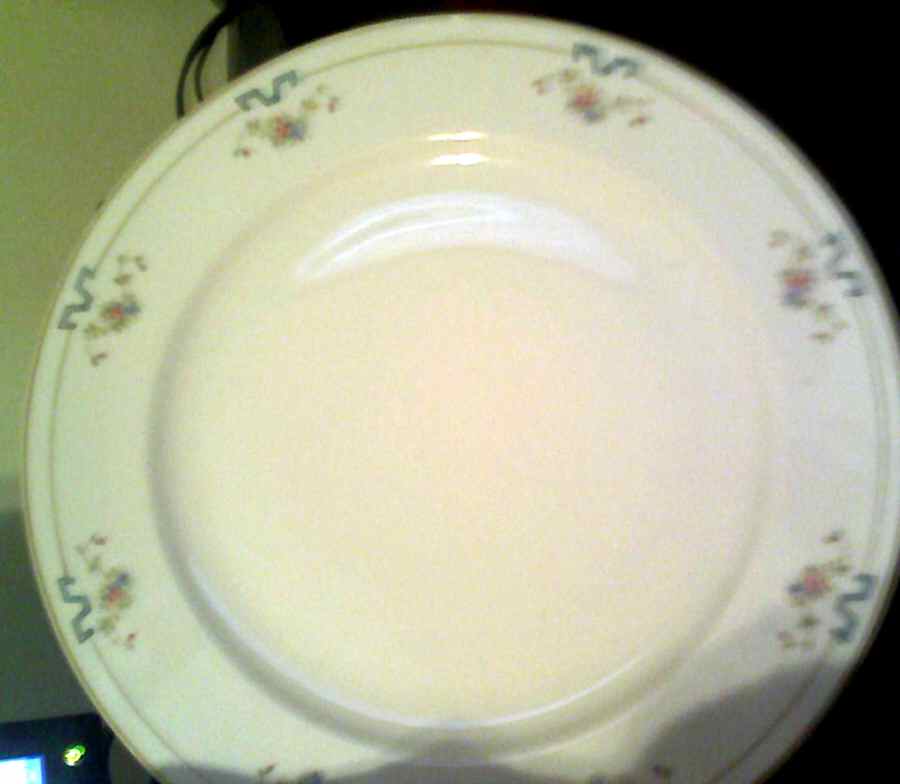 NIP158 Dinner Plate by Nippon-1