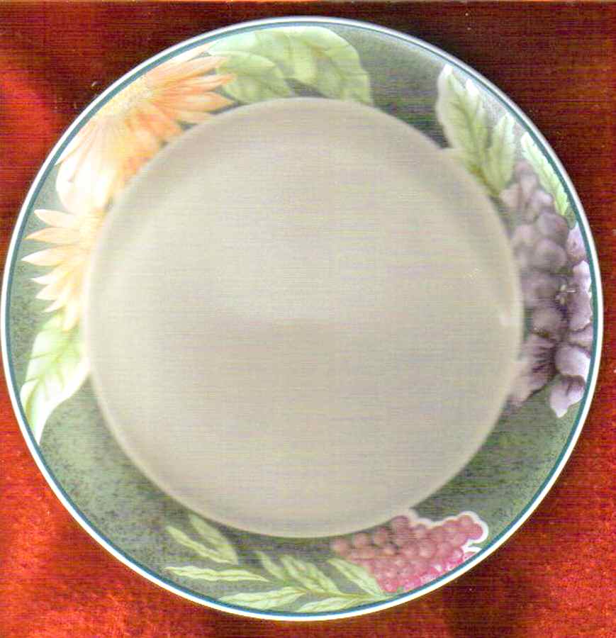 Angelica Dinner Plate by Newcor-1