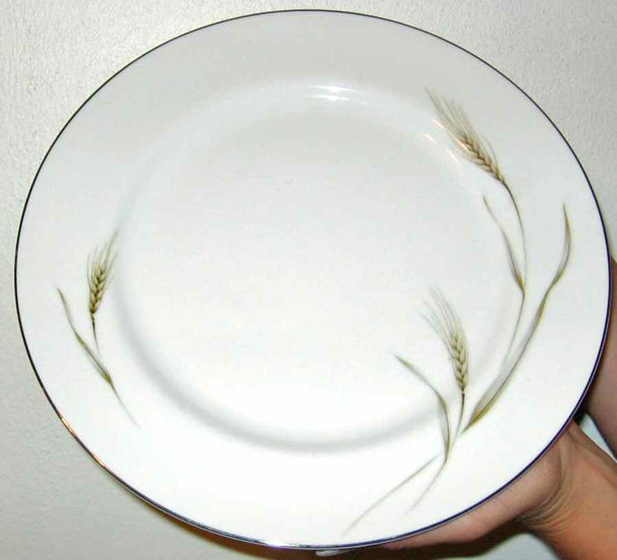 NAR101 Dinner Plate by Narumi-1