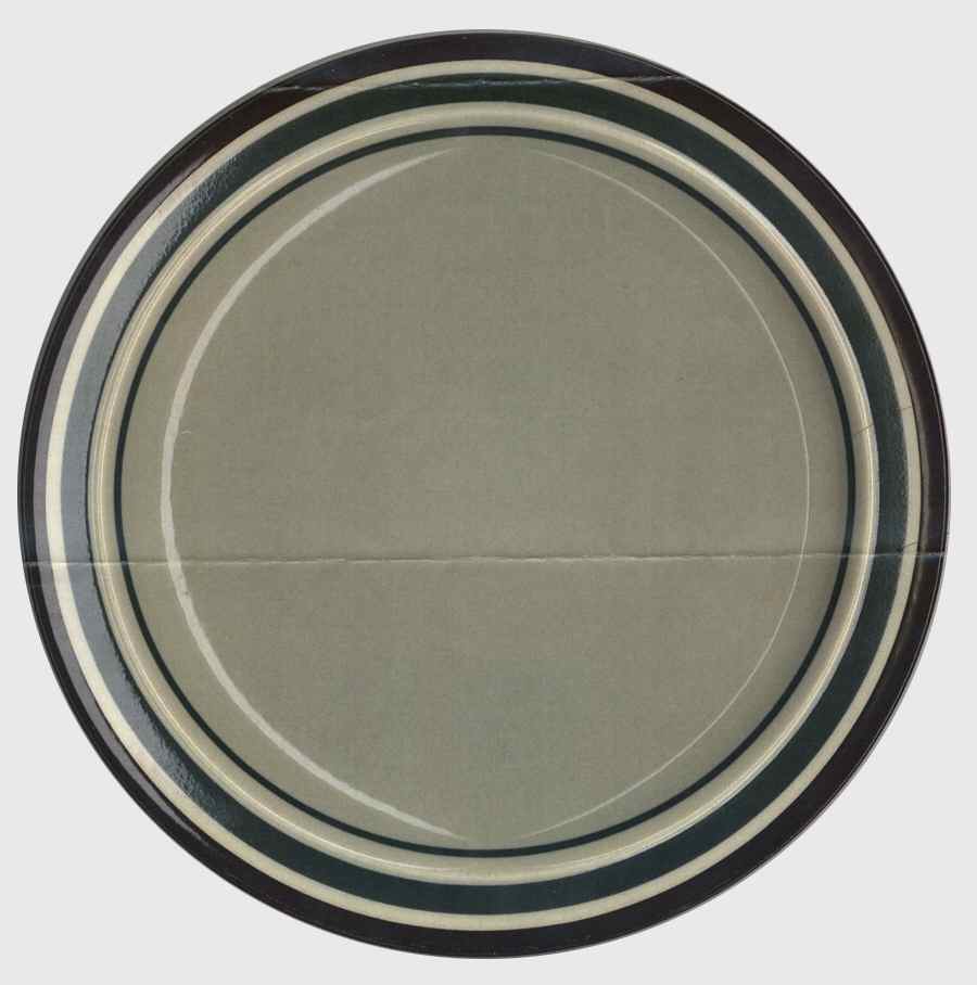Universe Dinner Plate by Newcor-1
