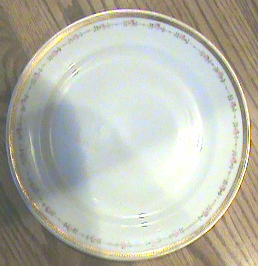 NIP173 Dinner Plate by Nippon-1