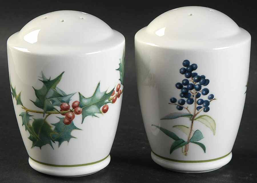 Country Diary Salt & Pepper Set by Noritake-1