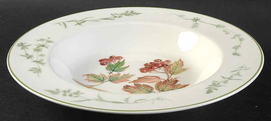 Country Diary Large Rim Soup Bowl by Noritake-1