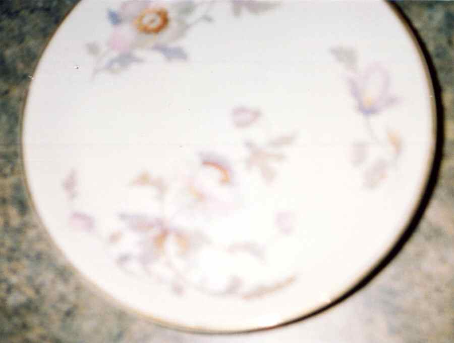 NVY3 Salad Plate by National Ivory-1