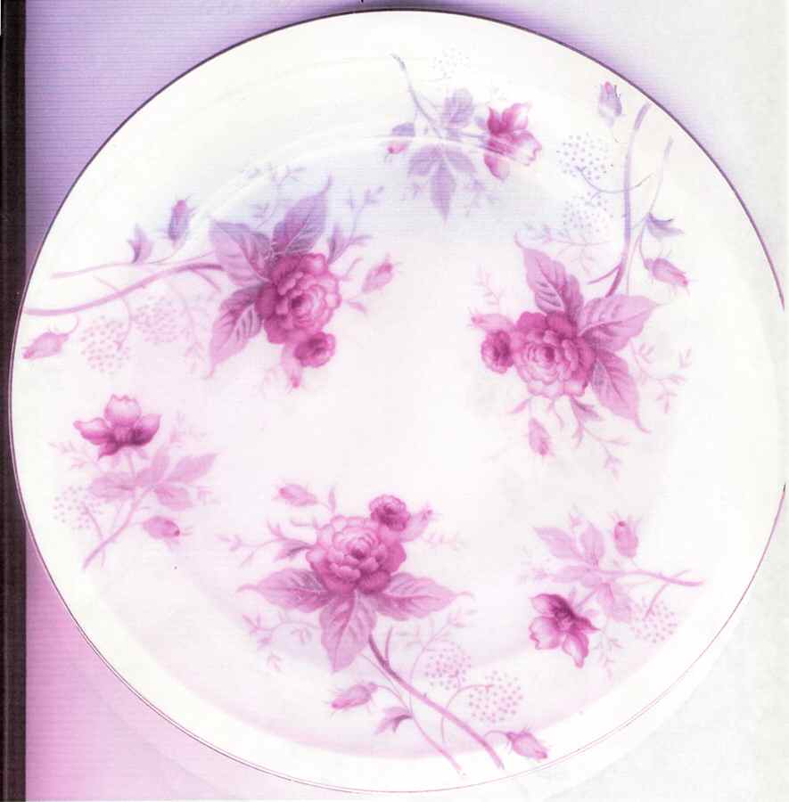 NAG52 Salad Plate by Nagoya Shokai-1