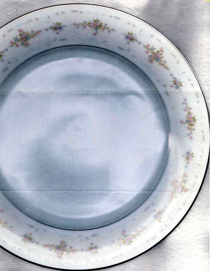 4-052 Dinner Plate by Noritake-1