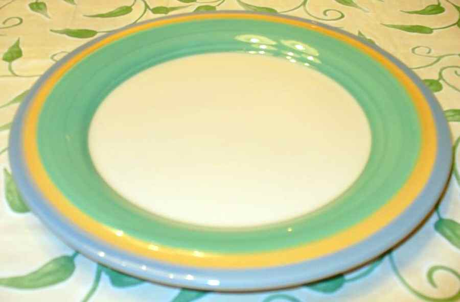 Concentrics Green Dinner Plate by Noble Excellence-1
