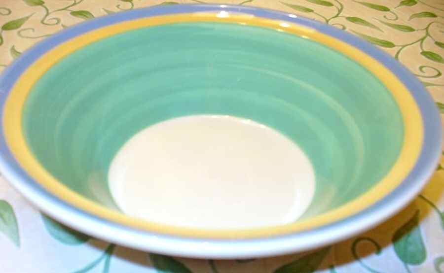 Concentrics Green Rim Soup Bowl by Noble Excellence-1