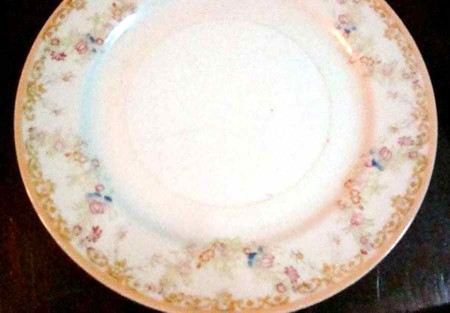 NAT58 Dinner Plate by National China-1
