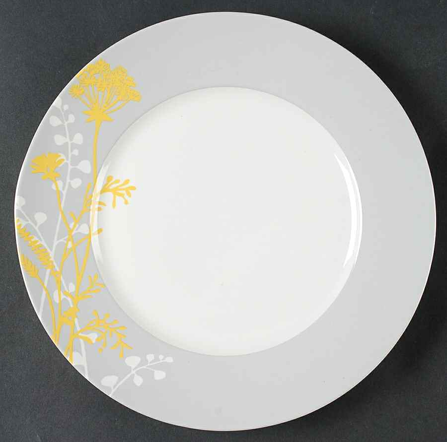 Radiance Dinner Plate by Noble Excellence-1