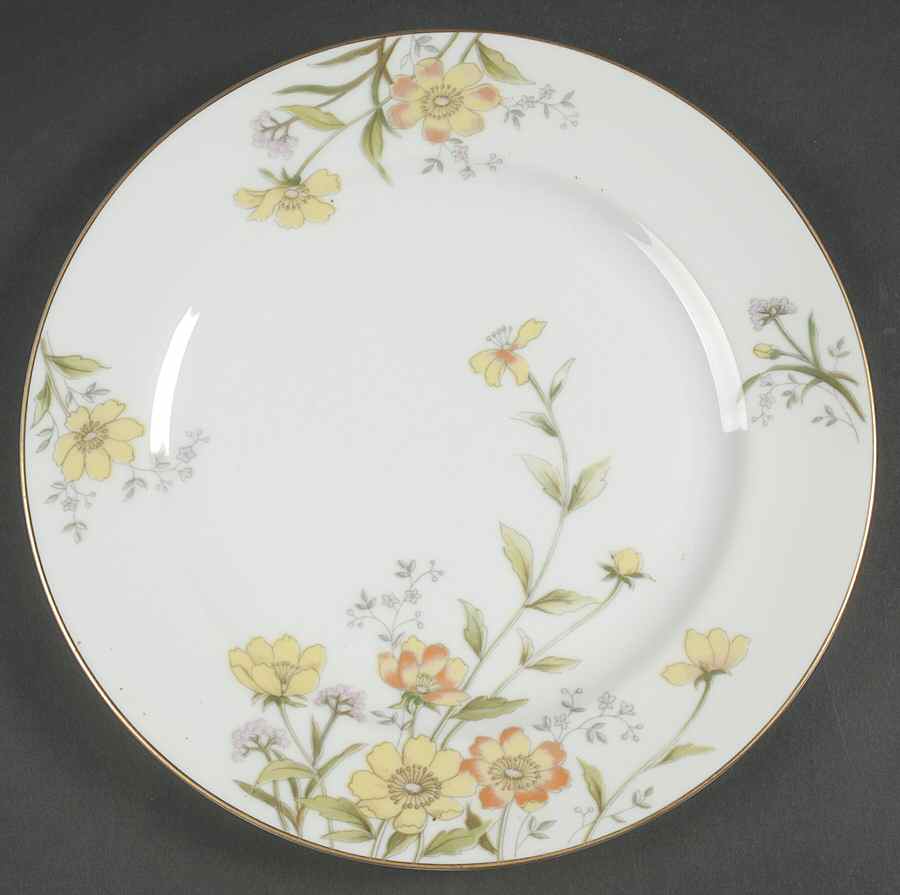 Allegro Dinner Plate by Norleans-1